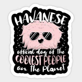 Havanese Tshirt cool cuban bichon dog Sticker